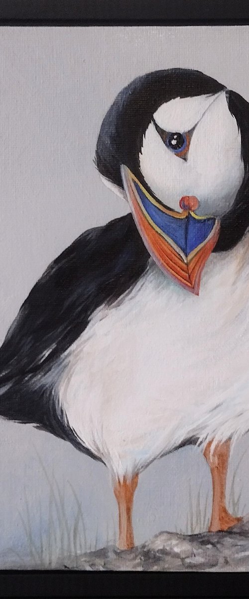 Puffin by Sara Westaway