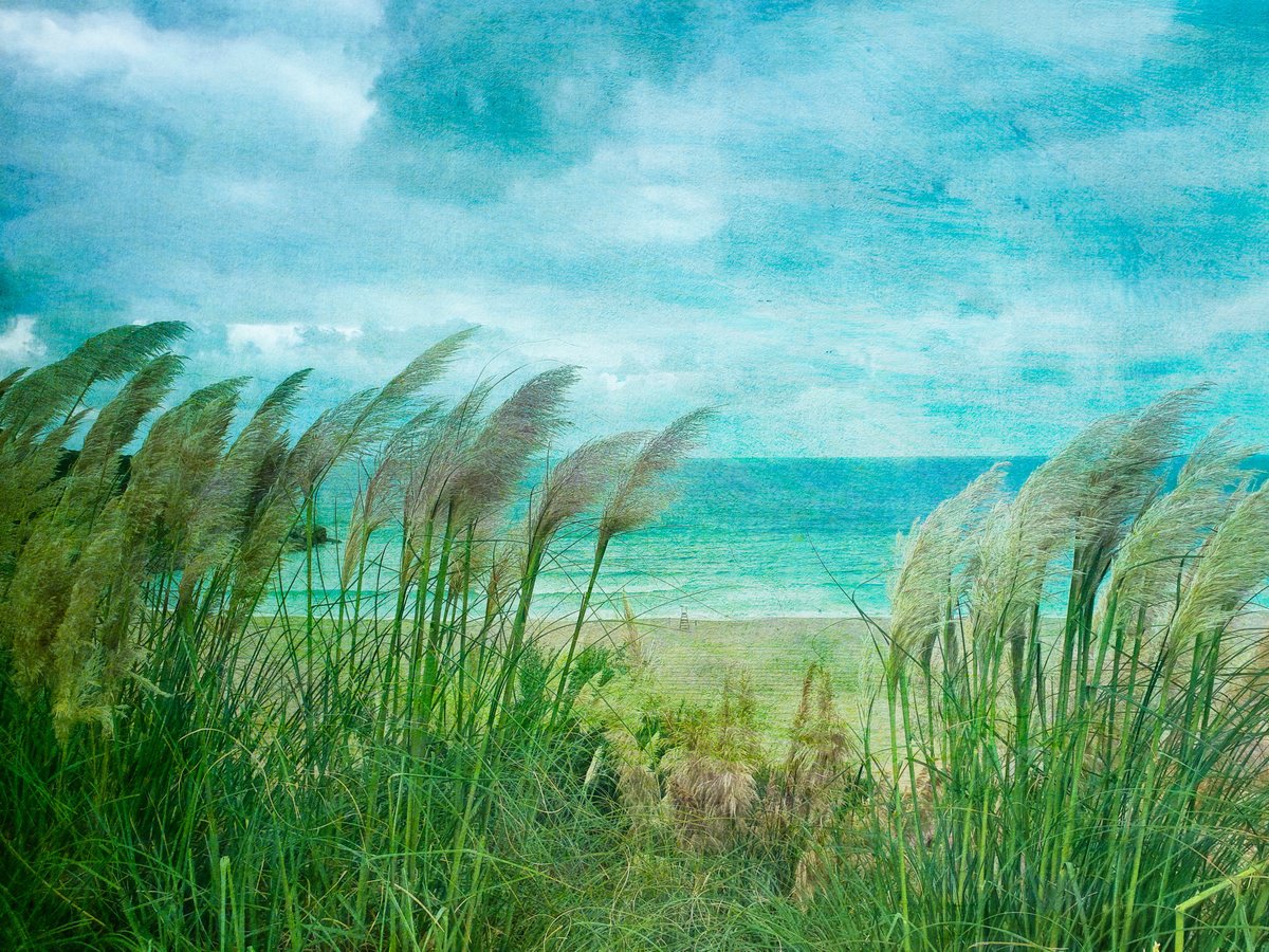 Impressionistic Botanical Photograph By Viet Ha Tran, 25 X 19", Blue Sea In Miengo, Original Artwork