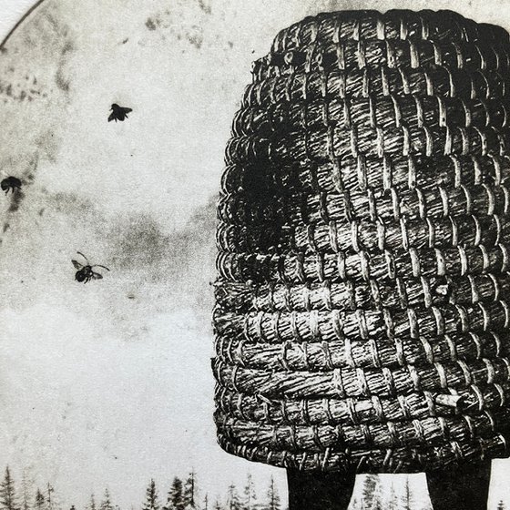 Hive No.5