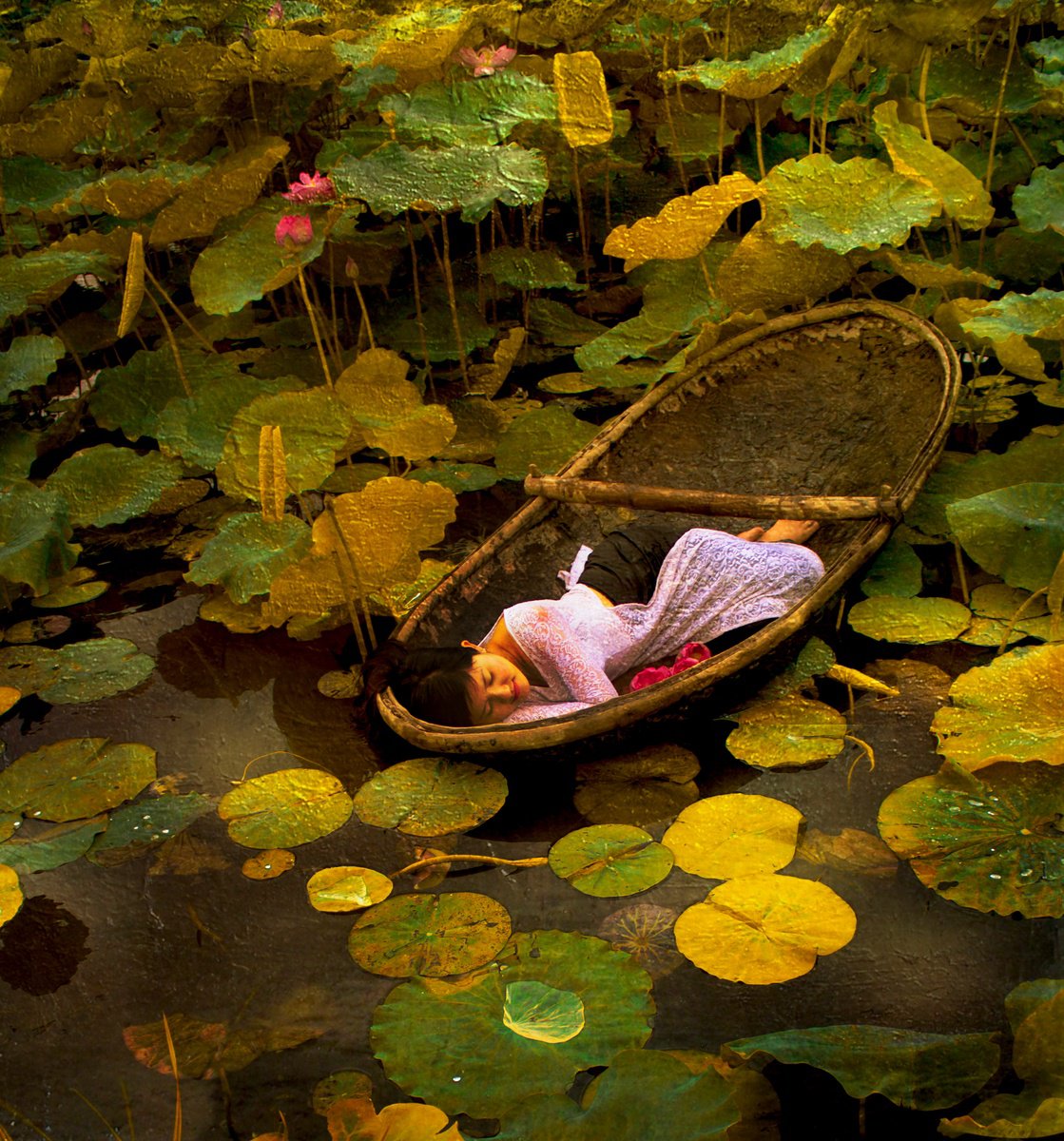 The Golden Lotus Lake (Framed) by Viet Ha Tran