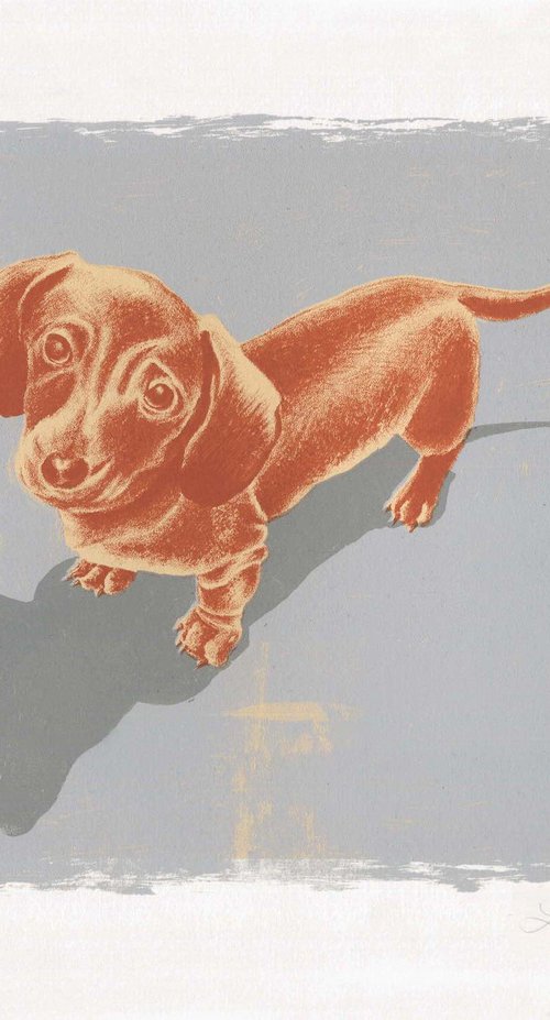 Dachsund by Louise Boulton