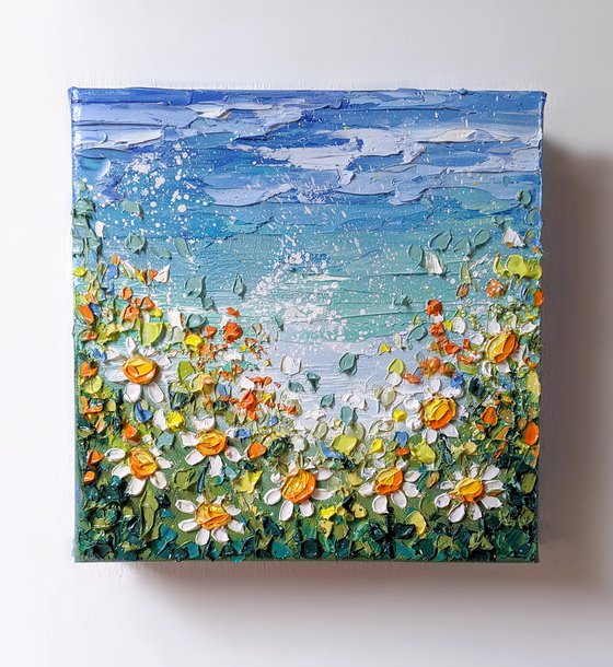 Seaside daisies