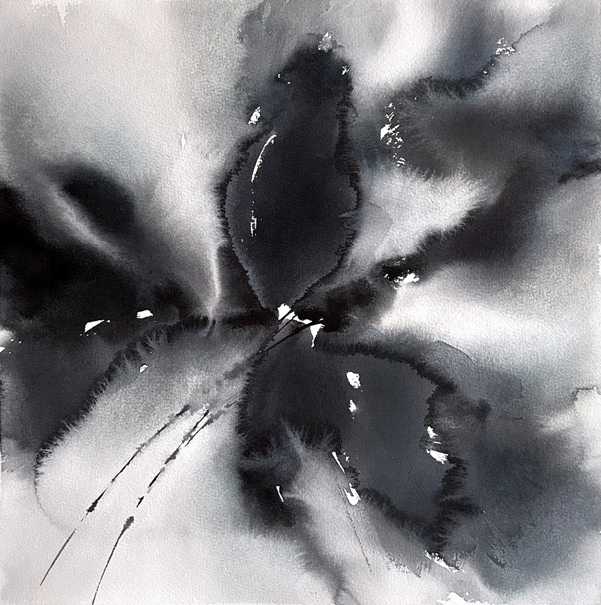 Black abstract flower by Olga Grigo