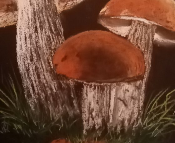 Family of mushrooms at Dusk