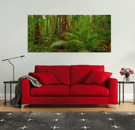 Daintree