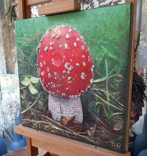 Fly agaric red