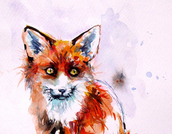 Animal collection