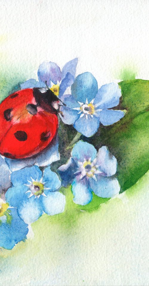 Ladybird on forget me not by Anjana Cawdell