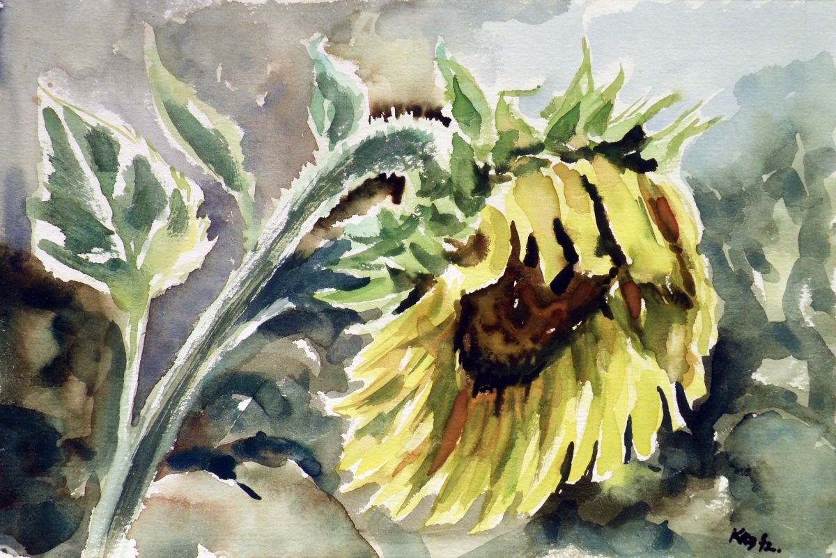 Sunflower by Kovacs Anna Brigitta