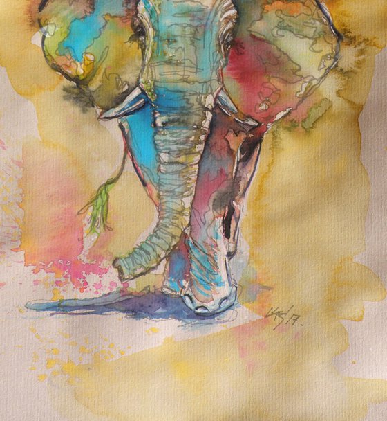 Elephant