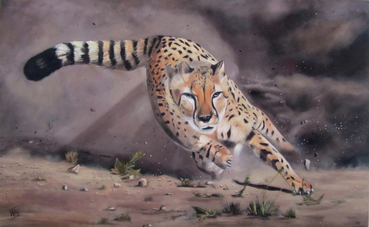 Cheetah On The Hunt By Ira Whittaker, 38 X 24, Artwork For Sale On Artfinder