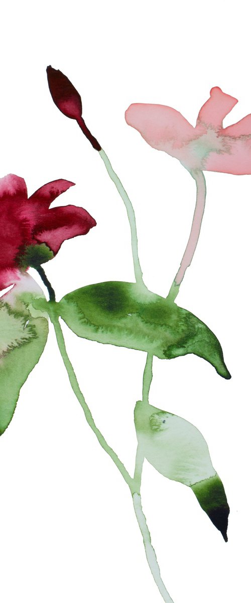 Floral No. 24 by Elizabeth Becker