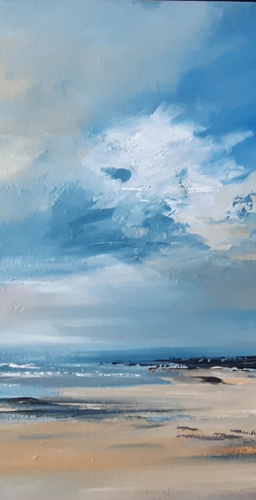 Summer at Studland bay by Steve Keenan