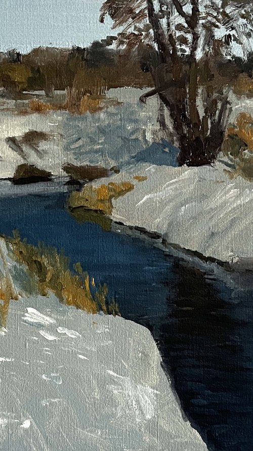 Sunny winter day by Michael Rak