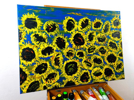 Blooming sunflowers 6