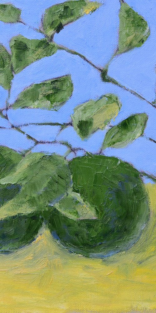 Green oranges by Elena Zapassky
