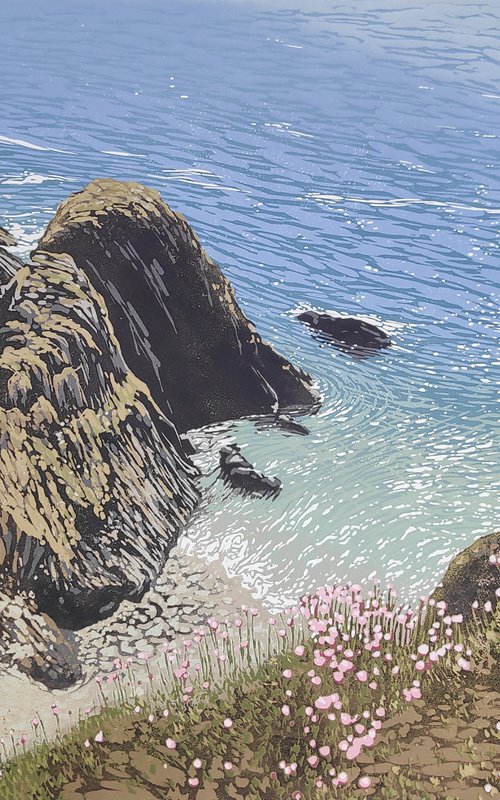 Sea Pinks and Cliffs by Alexandra Buckle