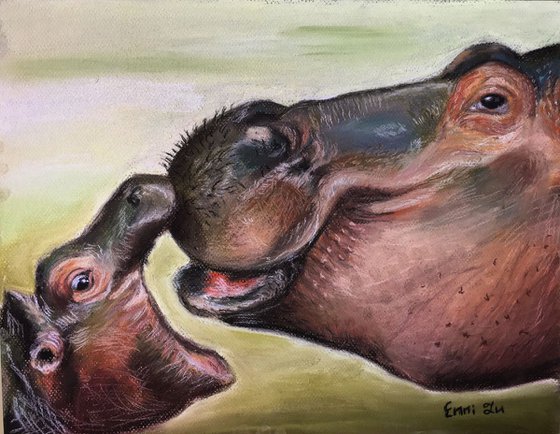 Hippos