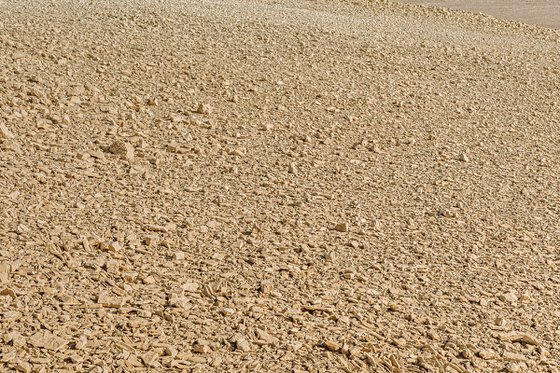 Аlone with the Desert