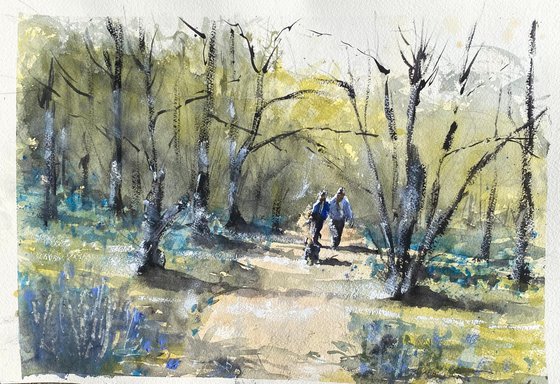 Bluebell woodland…