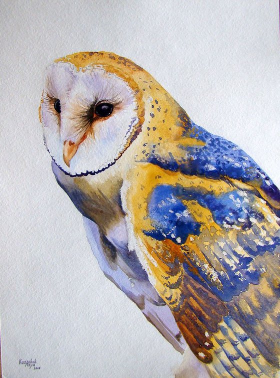 Barn Owl . Original watercolor.