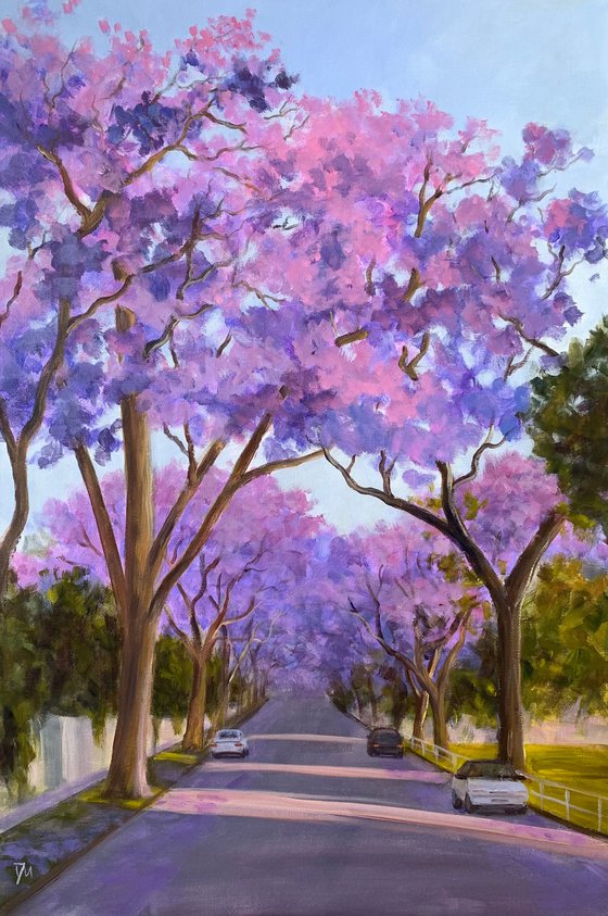 McDougall Street in Jacaranda season