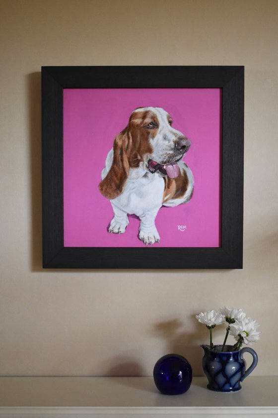 'Basset Hound'