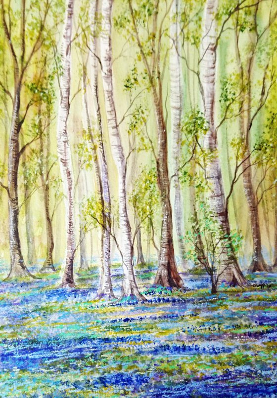 Bluebell woods 1   16"x12" mounted