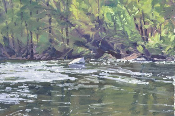 The Wild Loire In Spring