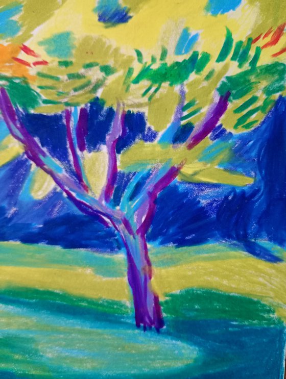 Yellow tree tops