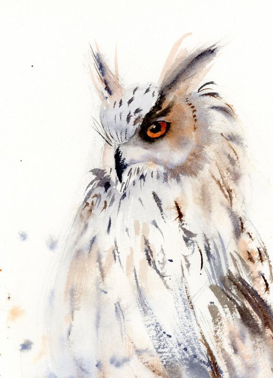 Horned owl