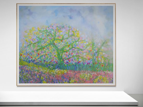 Cherry Blossom Trees 2026