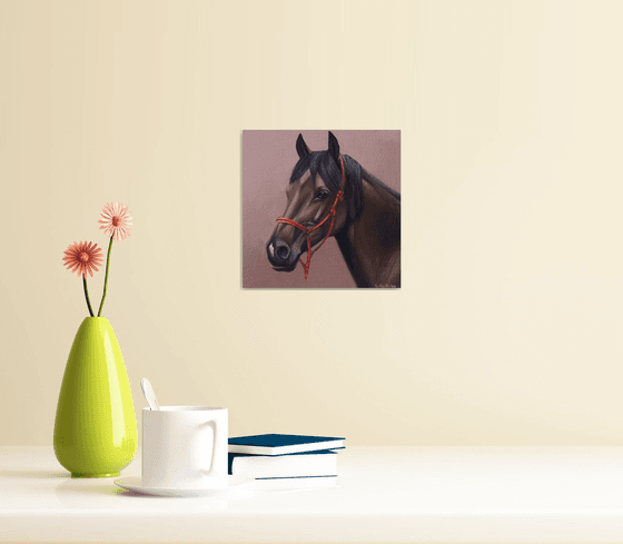 Horse Portrait 73