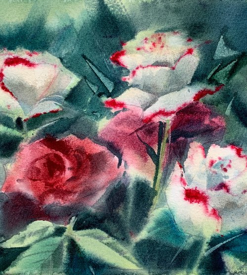 Red & white roses by Eugenia Gorbacheva