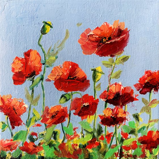 Poppies. Flowers.