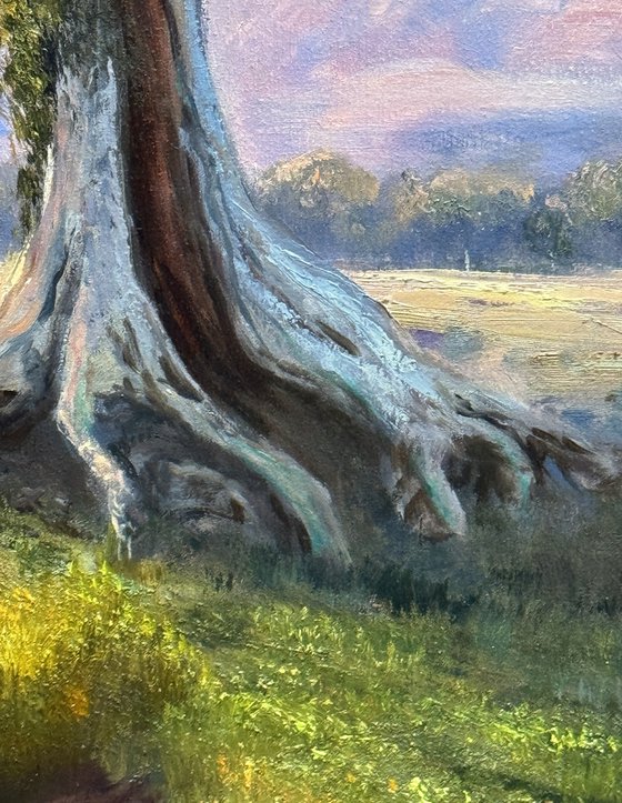 Beneath the River Red Gum