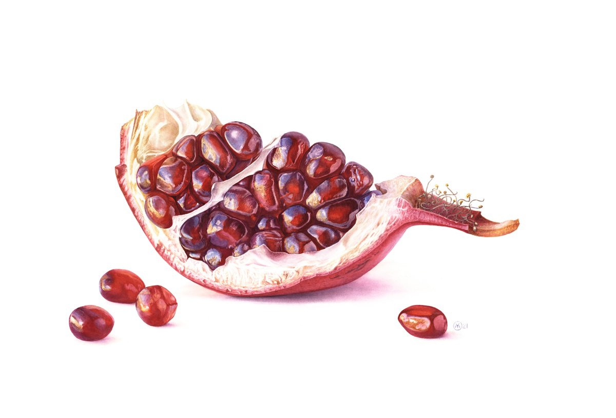 Photorealistic Botanical Watercolour By Yuliia Moiseieva, 22 X 15", Pomegranate Jewelry, Original Artwork