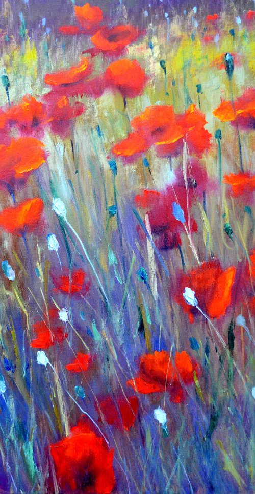 Field poppies by Elena Lukina