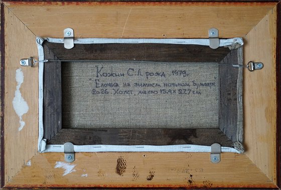 A spruce on a winter boulevard at night