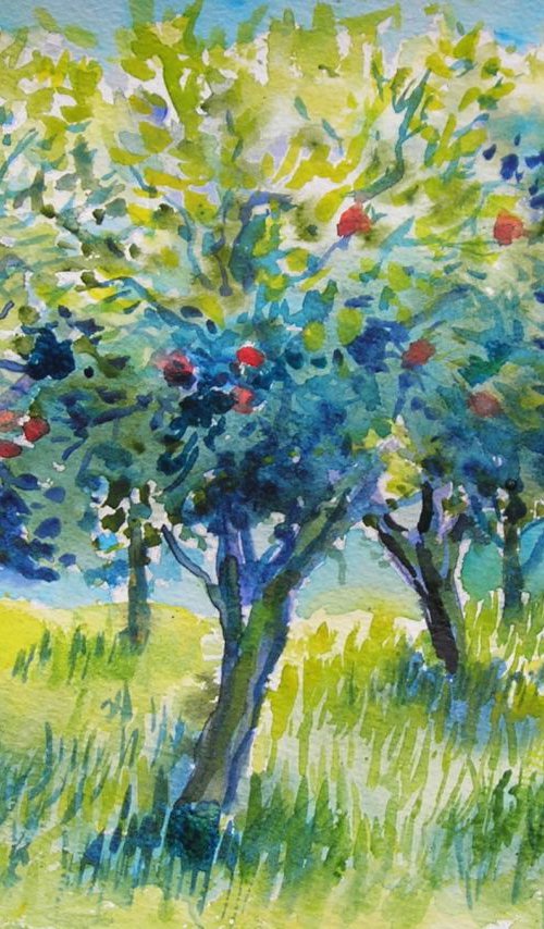 Apple trees by Maja Grecic