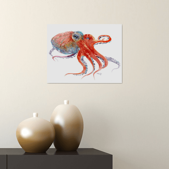 Coral Red Octopus