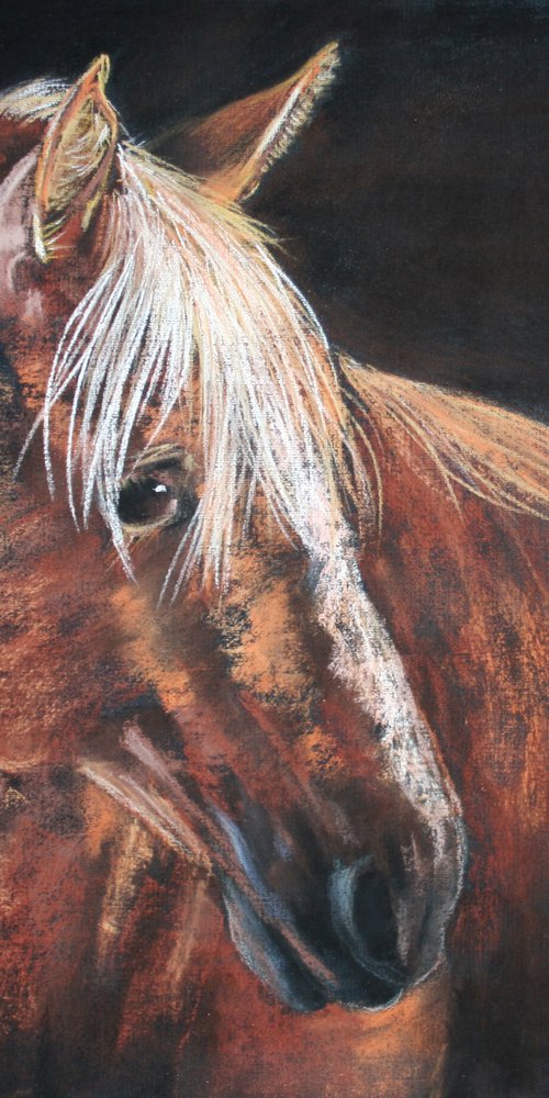 Horse... Portrait II /  ORIGINAL PAINTING by Salana Art / Svetlana Samovarova