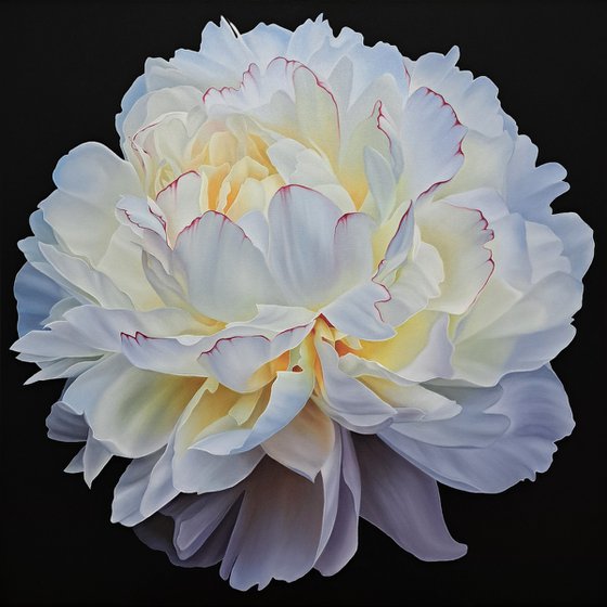 Scent of white peony
