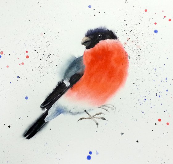 Bullfinch #2- watercolour - wild bird watercolour - birdwatcher - wild bird art - bird art