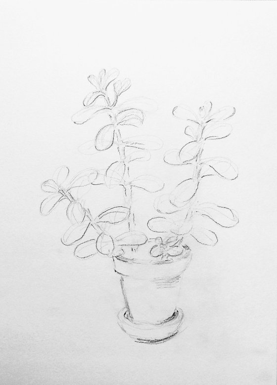 Money Tree. Original pencil drawing.