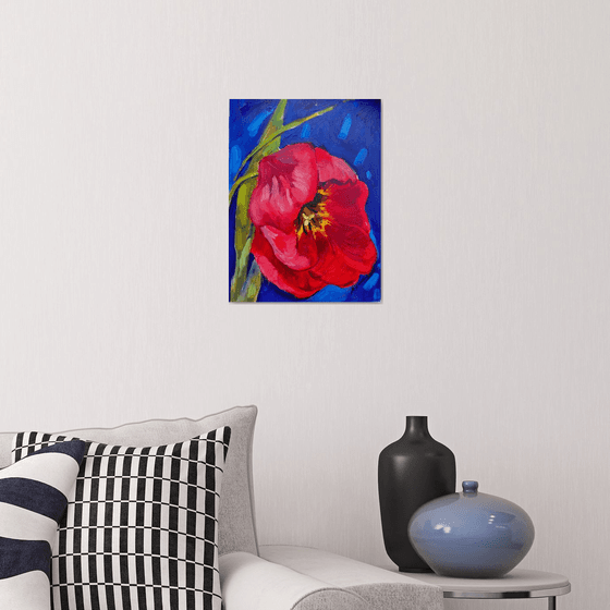 Red tulip