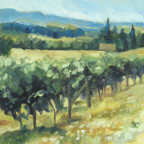 Cooper Mountain Vineyard by Stephanie Cissna