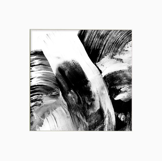 Brush Dance Collection 23