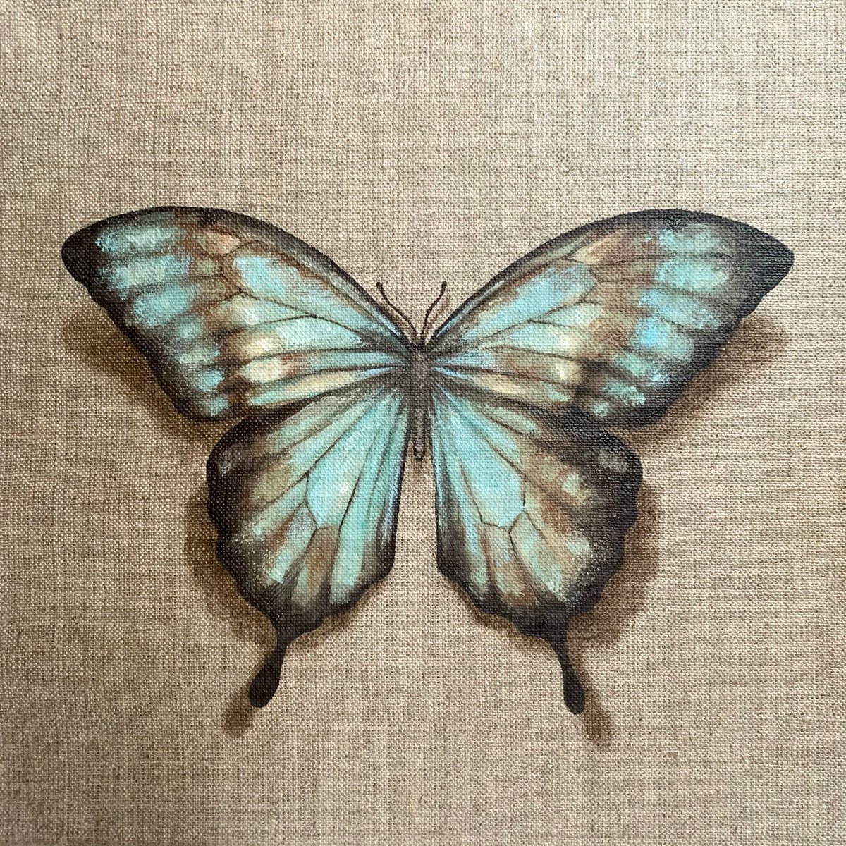 -Impermanent life-? #17 Turquoise butterfly by Alina Marsovna