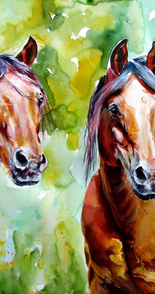 Horse friendship by Kovács Anna Brigitta